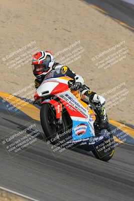media/Mar-12-2023-SoCal Trackdays (Sun) [[d4c8249724]]/Turns 9 and 10 (1020am)/